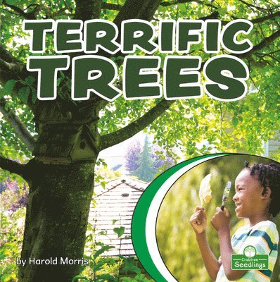 Terrific Trees 1