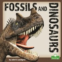 bokomslag Fossils and Dinosaurs