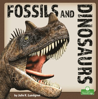 Fossils and Dinosaurs 1