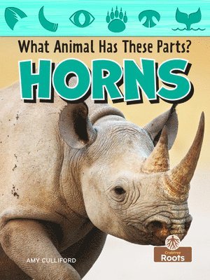 Horns 1