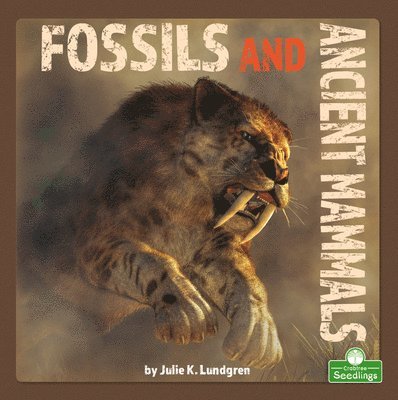 Fossils and Ancient Mammals 1