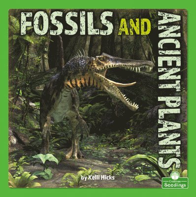 Fossils and Ancient Plants 1