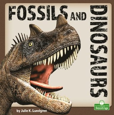 bokomslag Fossils and Dinosaurs