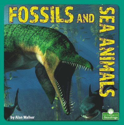 Alan Walker - Fossils and Sea Animals, Häftad