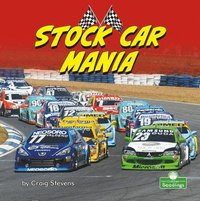 bokomslag Stock Car Mania
