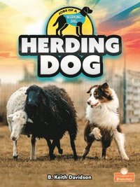 bokomslag Herding Dog