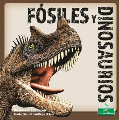 bokomslag Fósiles Y Dinosaurios (Fossils and Dinosaurs)
