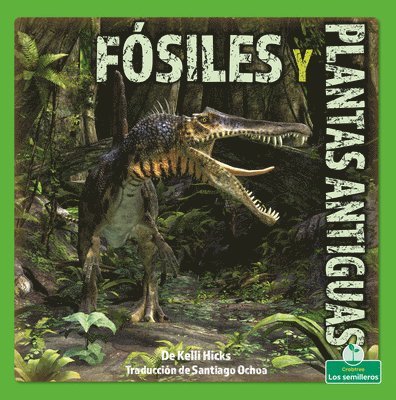 Kelli Hicks - Fósiles Y Plantas Antiguas (Fossils and Ancient Plants), Häftad