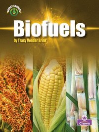 bokomslag Biofuels