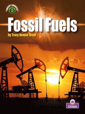 bokomslag Fossil Fuels
