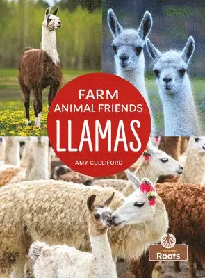 Amy Culliford - Llamas, Häftad. Tillgänglighet: Lägg i varukorg