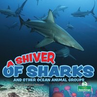 bokomslag A Shiver of Sharks and Other Ocean Animal Groups