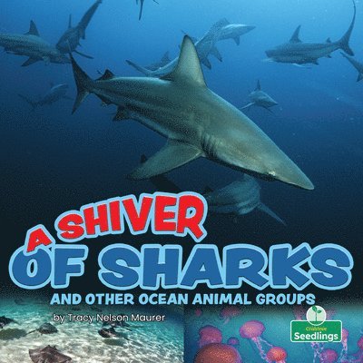 A Shiver of Sharks and Other Ocean Animal Groups 1