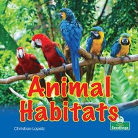 bokomslag Animal Habitats