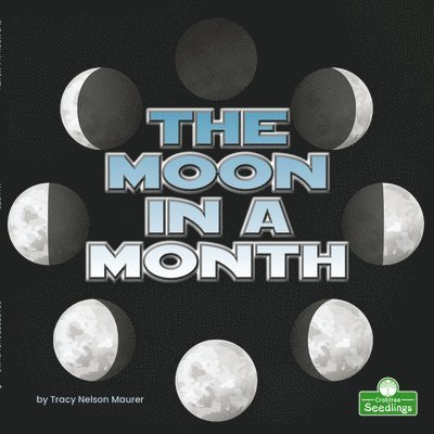 Tracy Nelson Maurer - The Moon in a Month, Häftad. Tillgänglighet: Tillfälligt slut