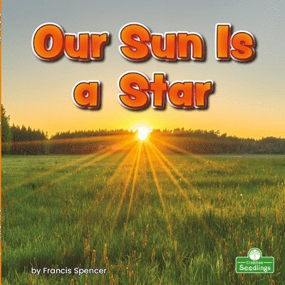 Francis Spencer - Our Sun Is a Star, Häftad