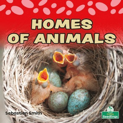 Homes of Animals 1