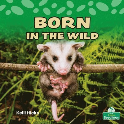 Kelli Hicks - Born in the Wild, Häftad