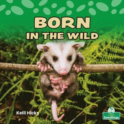 Born in the Wild 1