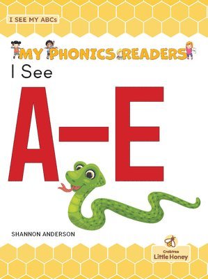 bokomslag I See A-E