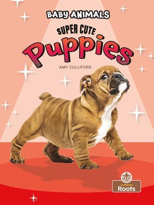 Amy Culliford - Super Cute Puppies, Inbunden