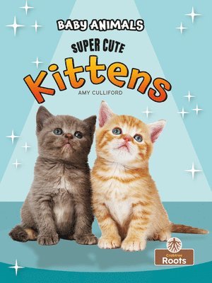 Amy Culliford - Super Cute Kittens, Inbunden