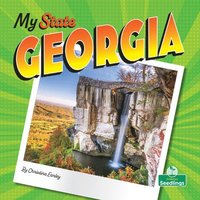 bokomslag Georgia