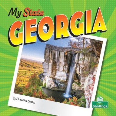 bokomslag Georgia