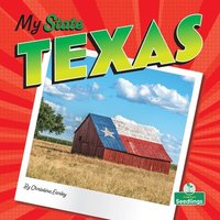bokomslag Texas