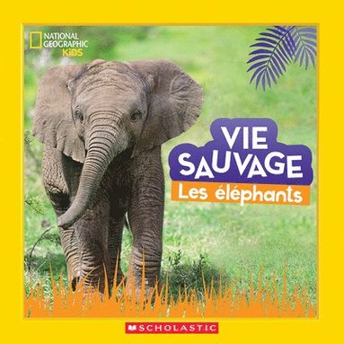 bokomslag National Geographic Kids: Vie Sauvage: Les Éléphants
