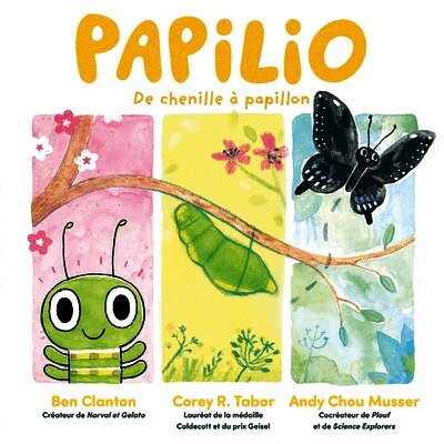 Papilio: de Chenille À Papillon