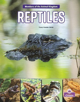 Tracy Vonder Brink - Reptiles, Inbunden
