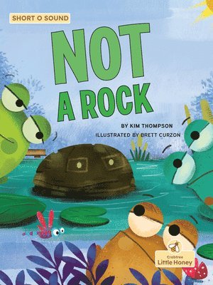 Kim Thompson - Not a Rock, Häftad