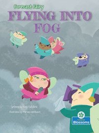 bokomslag Flying Into Fog