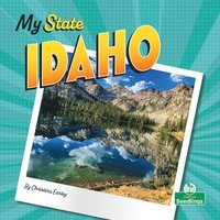 bokomslag Idaho