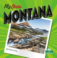 bokomslag Montana