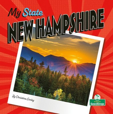 Christina Earley - New Hampshire, Inbunden