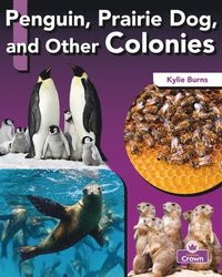 bokomslag Penguin, Prairie Dog, and Other Colonies