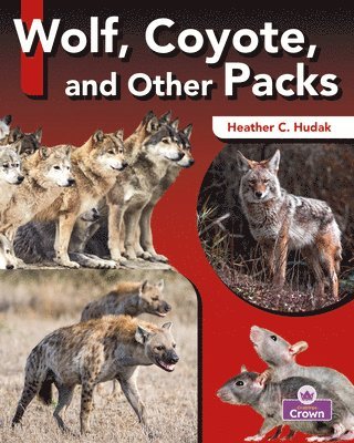 Heather C. Hudak - Wolf, Coyote, and Other Packs, Häftad