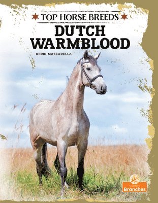 Kerri Mazzarella - Dutch Warmblood, Inbunden