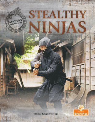 Stealthy Ninjas 1