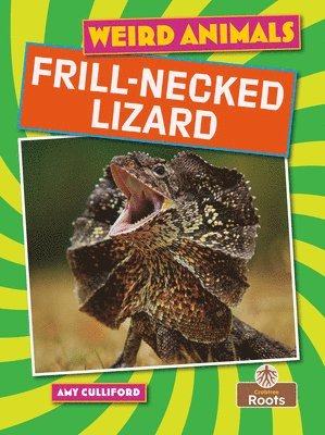bokomslag Frill-Necked Lizard