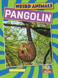 bokomslag Pangolin