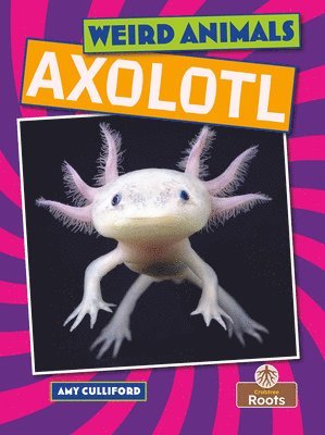 bokomslag Axolotl