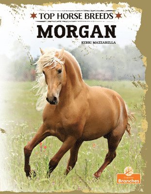 Kerri Mazzarella - Morgan, Häftad
