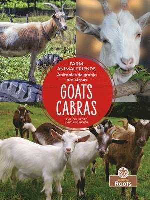 bokomslag Cabras (Goats) Bilingual Eng/Spa