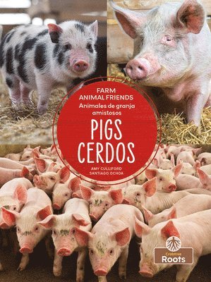 bokomslag Cerdos (Pigs) Bilingual Eng/Spa