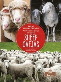 bokomslag Ovejas (Sheep) Bilingual Eng/Spa