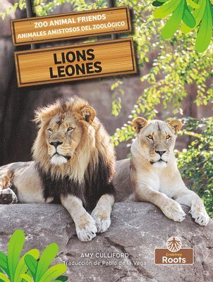 bokomslag Leones (Lions) Bilingual Eng/Spa