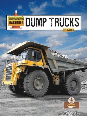 bokomslag Dump Trucks